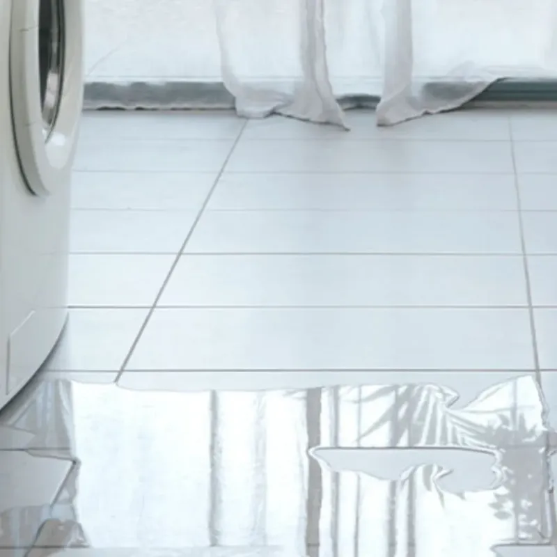 Appliance Leak Cleanup in Healdton, OK