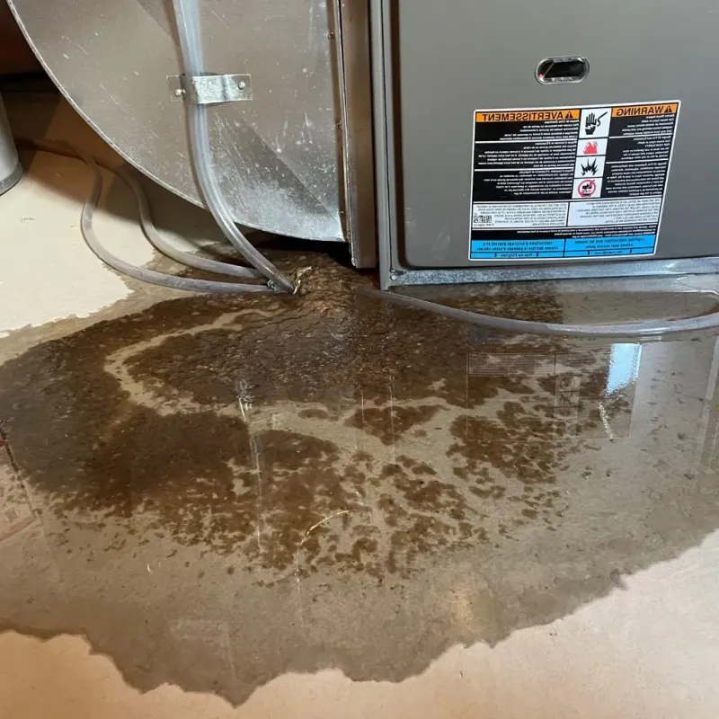 Pipe Burst and Leak Restoration in Healdton, OK